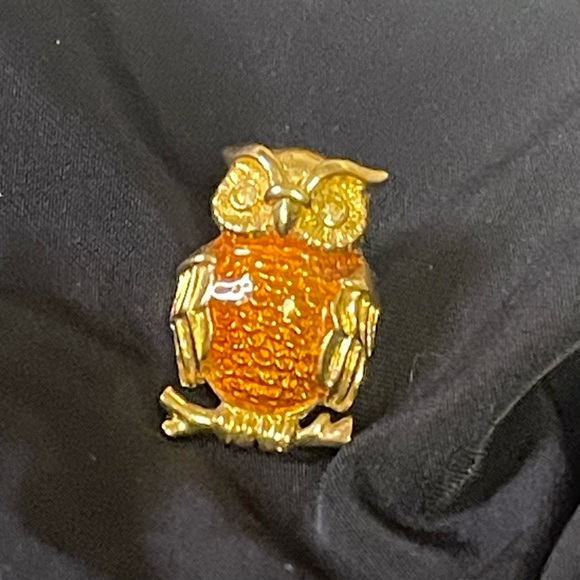 OWL lapel pin - Picture 4 of 7